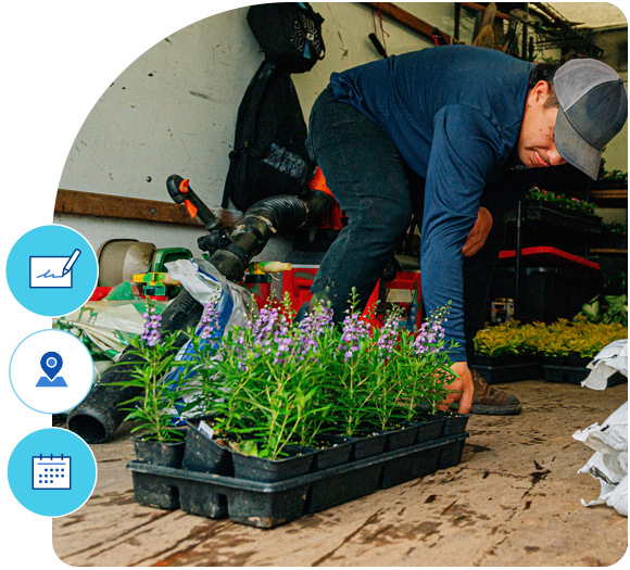 Male landscaper in his shop lugging a tray of pretty purple flowers for a customer