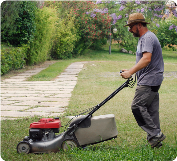 Male landscaper mowing a residential lawn with pretty purple flowers in the background