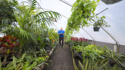 How Interior Tropical Gardens Increased Leads, Saved Time, and Grew Their Business with Thryv
