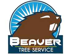 Beaver Tree Service