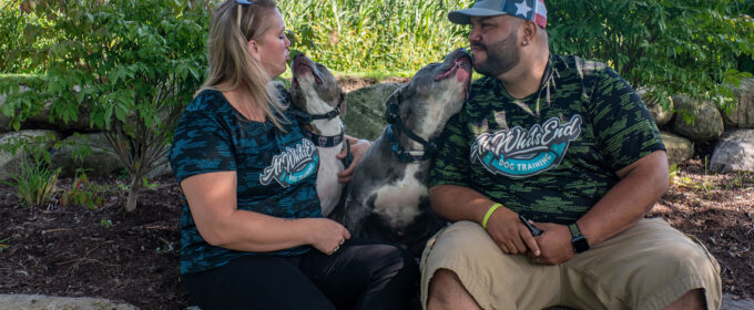 At Whits End Dog Training