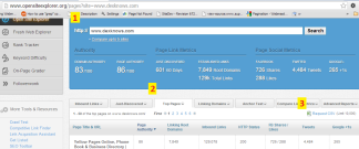 Export Top Pages Opensiteexplorer