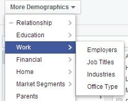 Facebook Ad Targeting - Work