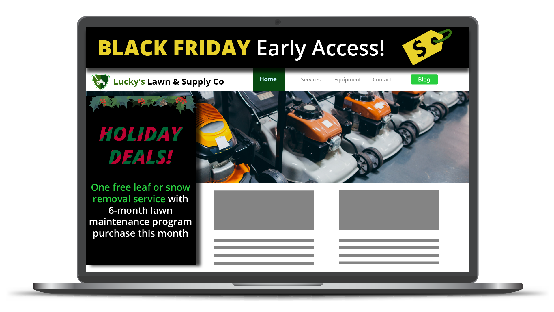 Black Friday Holiday Marketing Promo Example Email