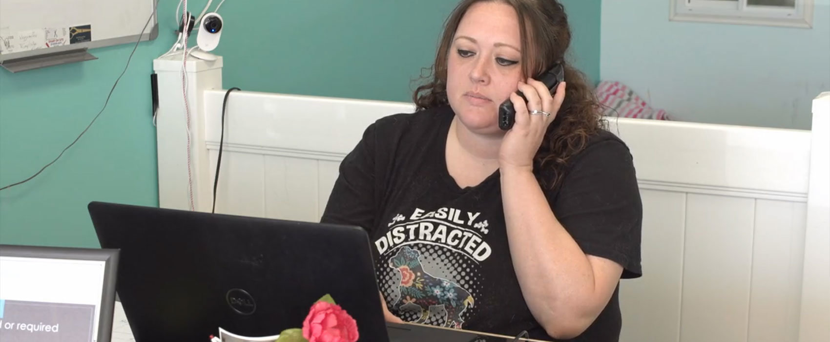 Waggamuffins Grooming & Daycare