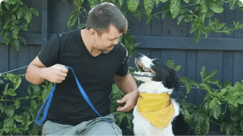 The Pet Nanny