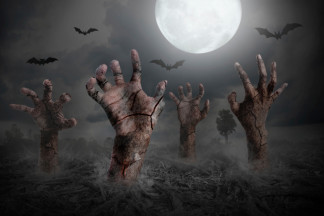 zombie01.jpg